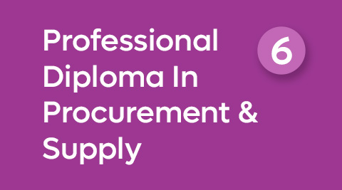 CIPS Level 6 - Professional Diploma In Procurement & Supply 
